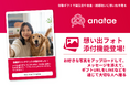 体験ギフト・マーケットプレイス「anatae」、eギフトに想いをのせる「想い出フォト添付機能」をリリース