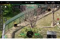 【7月1日発売開始！】ドローンによるクマAI検知機能【クマスキャン】を正式リリース