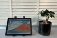北斎からゴッホまで、世界の名画を毎日の空間に。電子ペーパーのアートサブスク「CALMU Gallery」を発売