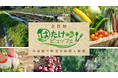 野菜採り放題サービスで農家の労働時間が半分になる「農業✕サブスク」全国6県に拡大<千葉市・相模原市・日進市・小林市オープン>