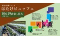 野菜採り放題サービスで消費者も生産者も得する!「収穫サブスク農園」が全国7県に拡大【兵庫・鹿児島で新規オープン】