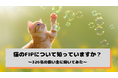猫のFIP、症状を「一つも知らない」飼い主が46.6%——回復が期待できる病気であることも約半数が「知らなかった」（猫の飼い主326名へのアンケート調査）