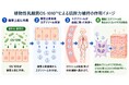 「植物性乳酸菌OS-1010™」が機能性表示食品として届出受理