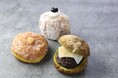 「国産ドーナツ専門店STANDARD DONUTS（スタンダードドーナツ）」の3号店はオフィス街「堺筋本町」に７月３１日オープン！毎日に寄り添う“Slow Donuts”を。
