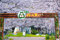 2025年も大阪城公園のバーベキューエリア「大阪城 森のバーベキュー」が期間限定でスタート。花の季節の大阪城公園で、開放感あふれるバーベキューをお楽しみください!