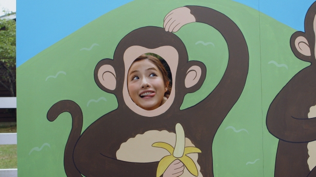 撮る！