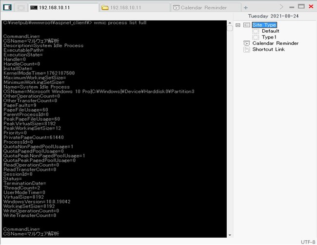 WebShellを介して標的端末のプロセス情報を列挙している様子