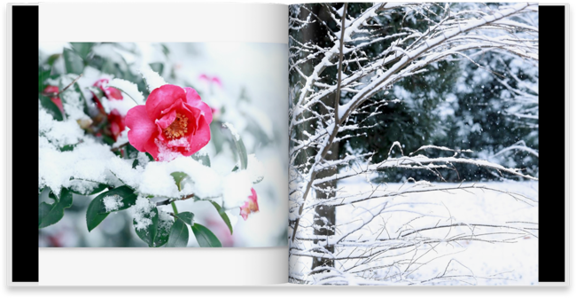 フォトブック作成例(2) フォトブック作成例(2)