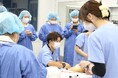 シモゾノ学園大宮国際動物専門学校の学生が参加する外科研修プログラムを実施しました