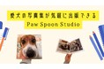 【日本初】愛犬の写真集を出版できるサービス「Paw Spoon Studio」を新リリース!