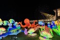 ラグーナ 夏の特別イベント　7月18日（土）よりフェスティバルマーケットで順次スタート！