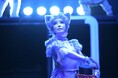 猫好き、猫オタ大満足の全く新しい猫のミュージカル『CATsLa』(キャッツら)が上演決定! 収益の一部は猫の保護活動へ