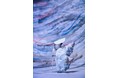 富山県の伝統行事から着想 世田谷シルク 第13回公演『春夏秋冬』ビジュアル解禁 カンフェティでチケット発売