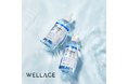 韓国ダーマコスメ「WELLAGE (ウェラージュ) 」のREAL HAラインが待望の⽇本発売決定!韓国ブランド大賞ダーマコスメ部門2年連続受賞!