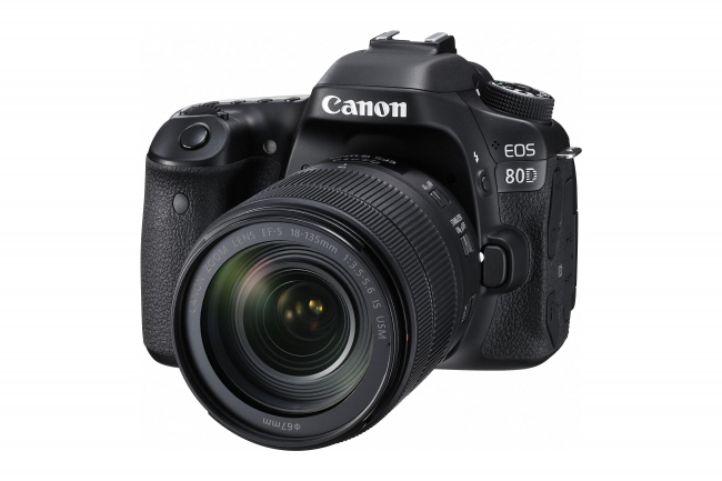 今のジョルジュが持つカメラ： EOS 80D ＊ EF-S18-135mm F3.5-5.6 IS USM 装着時