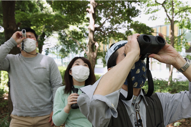 日本野鳥の会 安西先生と動画で野鳥観察! 日本野鳥の会 安西先生と動画で野鳥観察!