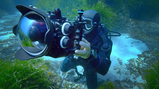 防水ハウジングに収めた8Kカメラでの水中撮影