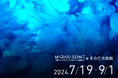MIRASISONE(ミラシスワン)がすみだ水族館の夏イベント「Cool! Coool! Cooool!」で最先端のプロジェクションマッピングを披露。猛暑が続く今夏を涼しく楽しい空間に！