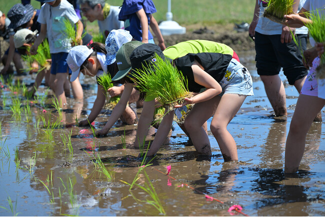 カンセキ創業50周年記念　「農業体験イベント」（春の田植え）を実施しました！　楽々市プレゼンツ、小学生による手植えの田植え体験