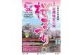 「第49回岩槻城址公園桜まつり」を開催します