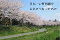 散策できる日本一長い桜回廊を未来へつなぐためのクラウドファンディング［第2弾］を実施します