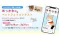 さんふらわあ めっかわペットフォトコンテスト開催!