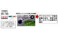 【大阪工業大学】筋肉老化改善に向けた共同プロジェクト