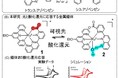 【大阪工業大学】光と酸化還元に応答する分子明らかに