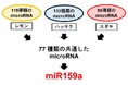 【広島国際大学】かんきつ類に含まれる微小カプセルの中身を解明