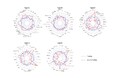 【摂南大学】日本人特有の腸内細菌5タイプと食事傾向の関連を解析 共同研究論文が国際学術誌『Gut Microbes Reports』に掲載