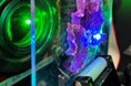 【大阪工業大学】光合成細菌をヒントに光エネルギーの流れを制御する新材料を開発
