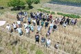 【摂南大学】地域連携 耕作放棄地の解消と地域コミュニティの活性化を目指す「京都フードテックエキスポ2024」に出展