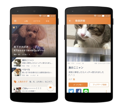 フェンリル 癒されまくる と話題の犬 猫10秒動画共有アプリ Mofur モフール の Android 版をリリース フェンリルのプレスリリース