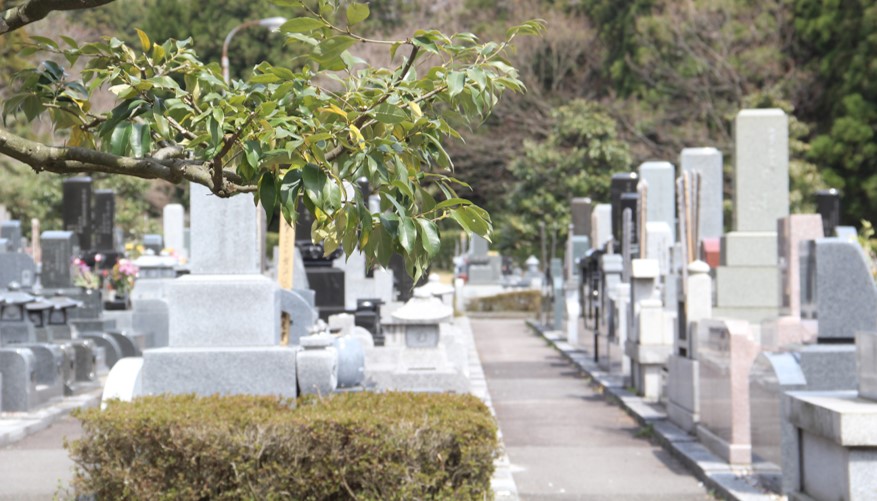 お墓 の引っ越し 改葬 アンケート調査 件数は10年間で1 6倍増加 年間約11万件に移転理由は 身体的負担 将来 子や孫に負担をかけたくない が上位 次世代への継承 がキーワードに 株式会社メモリアルアートの大野屋のプレスリリース お墓 の引っ越し 改葬 アンケート調査 件数は10年間で1 6倍増加 年間約11万件に移転理由は 身体的負担 将来 子や孫に負担をかけたくない が上位 次世代への継承 がキーワードに 株式会社メモリアルアートの大野屋のプレスリリース