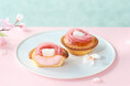 【期間限定】ピンクの桜色に染まった春の新作タルト求肥のモチッと食感に甘じょっぱさが絶妙!和×洋が新感覚の「焼きたてチーズタルト 桜もち」