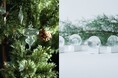 【ロンハーマン】Ron Herman Living 2024 Holiday Collection