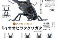 福井敬貴×スタジオソータ「アニマリエコレクション 1/1オオヒラタクワガタ」再販決定!(特典画像あり)