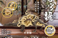 【2025年1月商品】ムラマツアユミ×スタジオソータ「空想生物図鑑Ⅳ 祀宮龍」1月23日より順次展開開始!【カプセルトイ・ボックストイ】