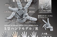 【2025年1月商品】スタジオソータ「ARTIST SUPPORT ITEM COLLABORATION 1/2 ハンドモデル / R」1月28日より順次展開開始!【カプセルトイ・ボックストイ】