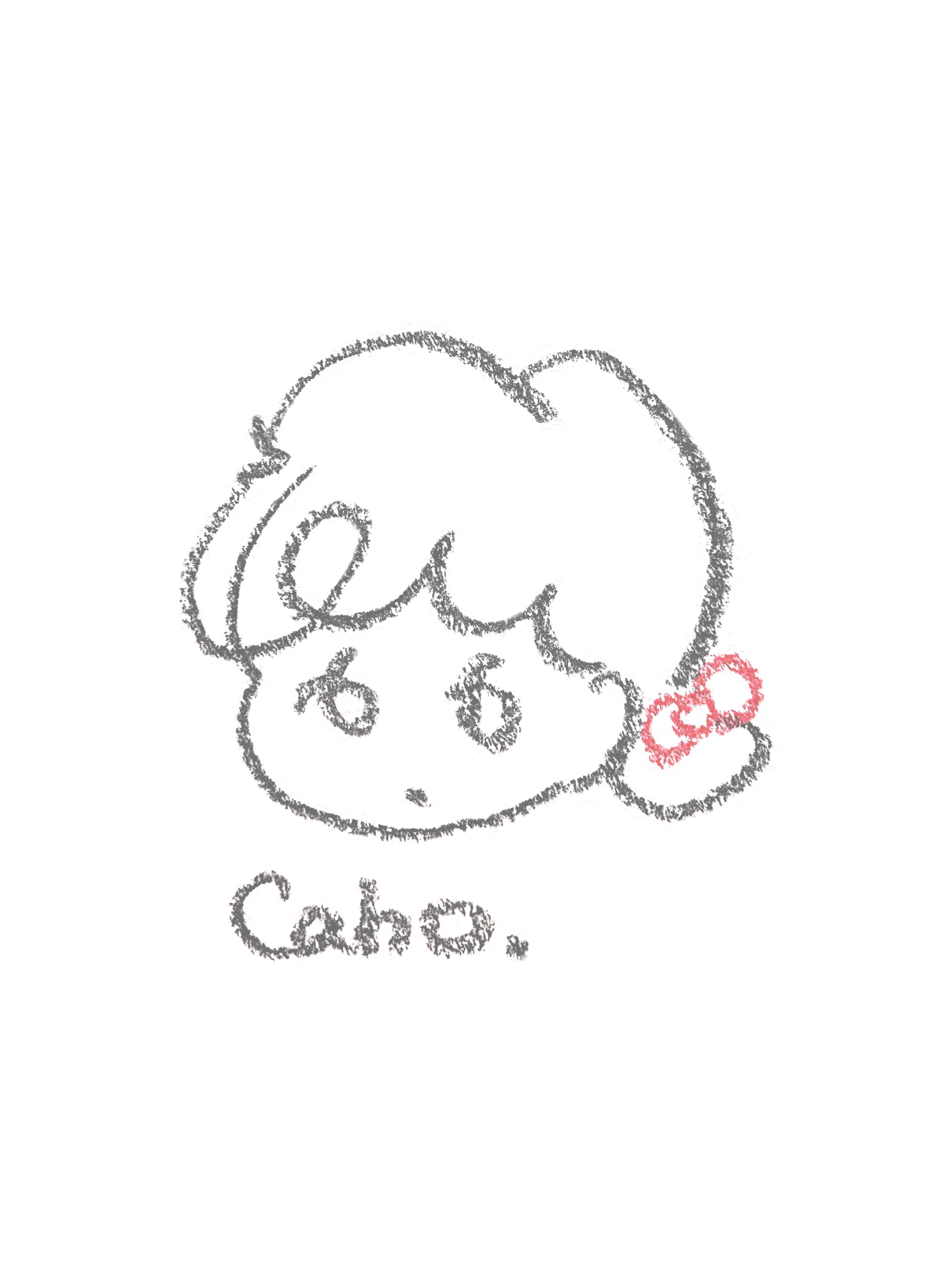 ふわふわ可愛い Caho さんのイラストで日々の情報を守る 万能