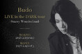 新世代のクラシック音楽家・Budoを迎え、東京/神戸を巡るプラネタリウムライブを開催『Budo LIVE in the DARK tour -Starry Wonderland-』