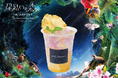 プラネタリウム作品『星結いの森 -沖縄・国頭村の星空-』コラボカフェドリンクが登場!