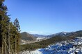 「山で過ごす時間」をもっと身近に。岩手県遠野市にフォレンタ新エリア誕生!気軽に楽しめる森林リフレッシュ体験へ。