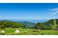 地域おこし協力隊による森林活用が長野県須坂市でスタート!気軽に自然に触れられるレンタルフィールドが峰の原高原に誕生します。