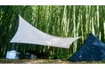 都市近郊で始まる新しい竹林利用 「森林レンタル」サービスが茨城県龍ヶ崎市に誕生