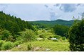森は“所有”から“レンタル”する時代へ。都市と自然が交わる静岡県浜松市天竜区に、プライベートな森林空間が誕生。
