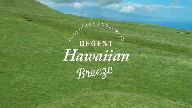 100枚のHawaiian Breezeが草原に広がります。