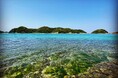 9月13日、長崎・壱岐の無人島で入社式　社長操縦の船で上陸しサバイバル研修