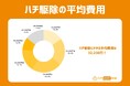 ハチ駆除依頼にかかる費用平均は32,238円!直近3年間の依頼からわかった蜂の駆除にまつわる費用の調査データを発表
