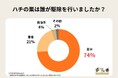 ハチの巣は自分で駆除できる？74％が自力駆除を経験